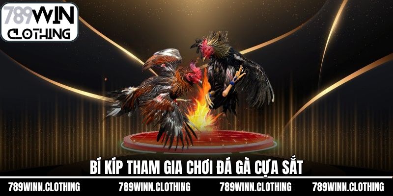 Bật mí những bí quyết giúp tham gia đá gà cựa sắt thắng lớn