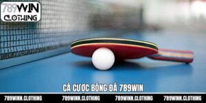 Cá Cược Bóng Bàn 789Win - Bí Quyết Dự Đoán Hiệu Quả