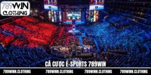Cá Cược E-sports 789Win - Sân Chơi Giải Trí Kịch Tính