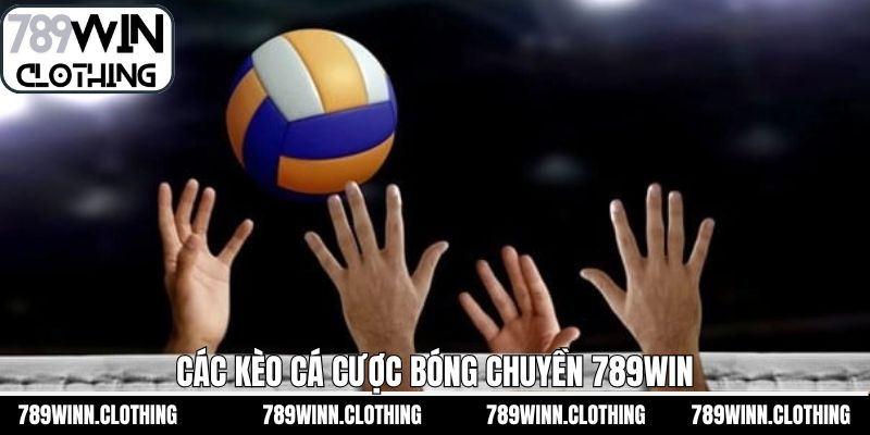 Các loại cá cược bóng chuyền 789Win anh em không thể bỏ qua