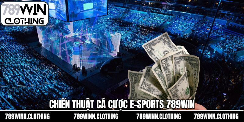 Kinh nghiệm cá cược e-sports 789Win hiệu quả từ cao thủ