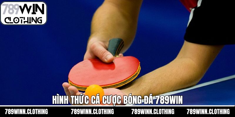 Những hình thức đặt cược thú vị đáng để trải nghiệm 