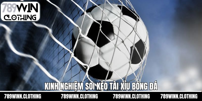 Kinh nghiệm soi kèo tài xỉu bóng đá chuẩn xác