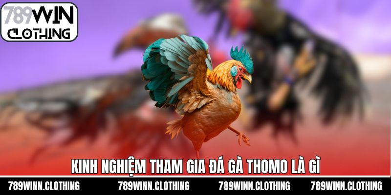 Top những kinh nghiệm chiến thuật chơi đá gà Thomo 