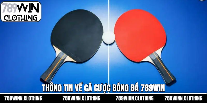 Thông tin sơ lược về hình thức cá cược bóng bàn 