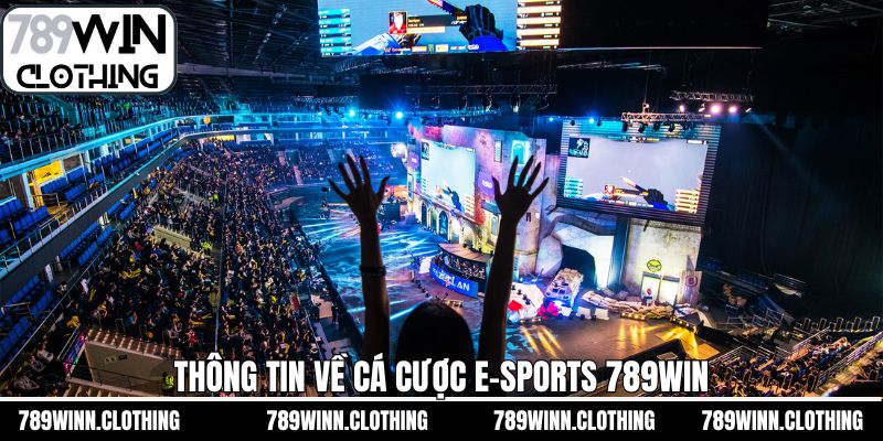 Đôi nét về sảnh cá cược thể thao điện tử 789Win