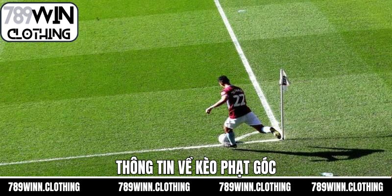 Đôi nét về hình thức cược phạt góc thú vị trong bóng đá