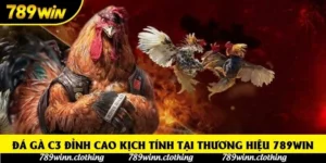 Đá gà C3 đỉnh cao kịch tính tại thương hiệu 789win