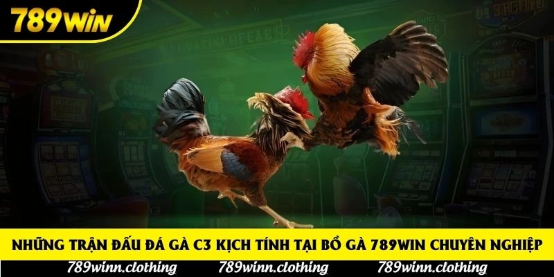 Những trận đấu đá gà C3 kịch tính tại bồ gà 789win chuyên nghiệp Những trận đấu đá gà C3 kịch tính tại bồ gà 789win chuyên nghiệp