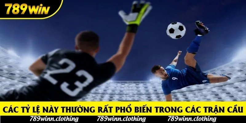 Các tỷ lệ này thường rất phổ biến trong các trận cầu Các tỷ lệ này thường rất phổ biến trong các trận cầu