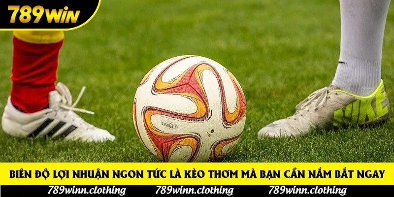 Biên độ lợi nhuận ngon tức là kèo thơm mà bạn cần nắm bắt ngay