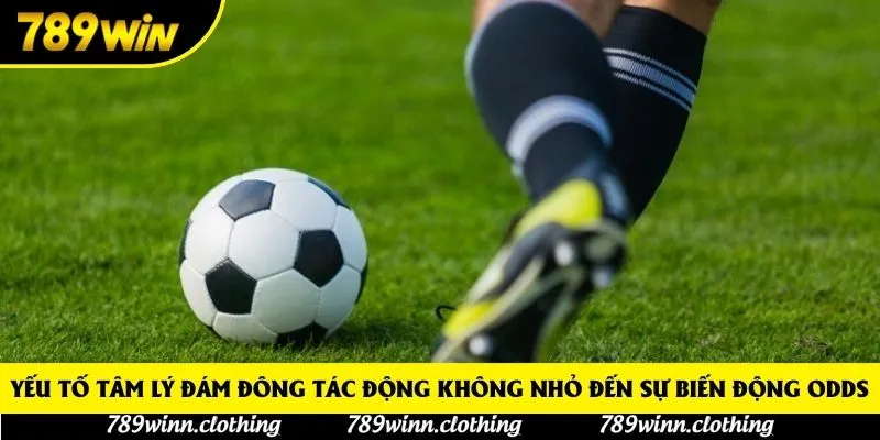 Yếu tố tâm lý đám đông tác động không nhỏ đến sự biến động odds