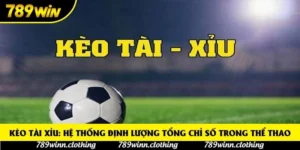 Kèo tài xỉu: Hệ thống định lượng tổng chỉ số trong thể thao