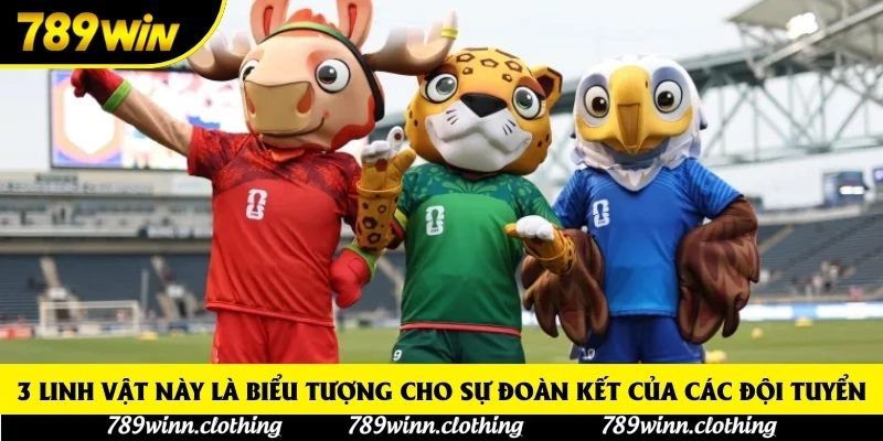 3 linh vật này là biểu tượng cho sự đoàn kết của các đội tuyển